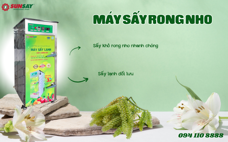 Cách làm rong nho sấy khô bằng máy sấy lạnh SUNSAY