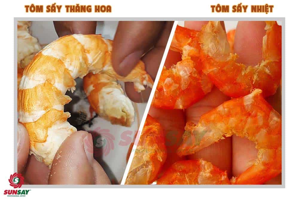 Tôm sấy bằng máy sấy thăng hoa