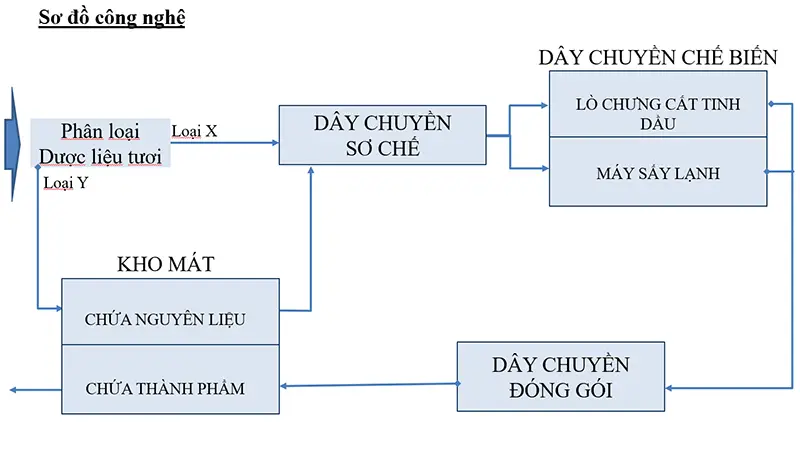 Sơ đồ công nghệ nhà máy chế biến sấy