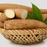 Máy băm sắn công nghiệp