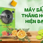 Công nghệ sấy thăng hoa cao cấp mang lại hiệu quả cao Máy sấy thăng hoa hiện đại