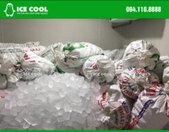 Kho lạnh bảo quản đá viên ICE COOL