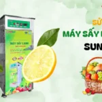 Thiết kế nhà máy sấy trái cây với quy mô khởi nghiệp: Tối ưu chi phí, tối đa lợi nhuận Sử dụng máy sấy lạnh để sản xuất thực phẩm sạch và an toàn