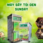 Bí mật sức khỏe từ máy sấy tỏi đen - Một sản phẩm được ưa chuộng Máy sấy tỏi đen SUNSAY