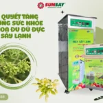 Bí quyết tăng cường sức khỏe từ hoa đu đủ đực sấy lạnh Bí quyết tăng cường sức khỏe từ hoa đu đủ đực sấy lạnh
