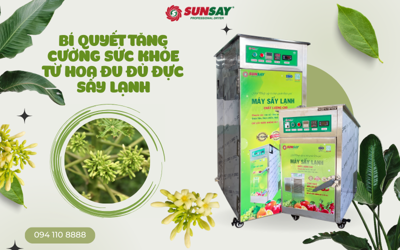 Bí quyết tăng cường sức khỏe từ hoa đu đủ đực sấy lạnh