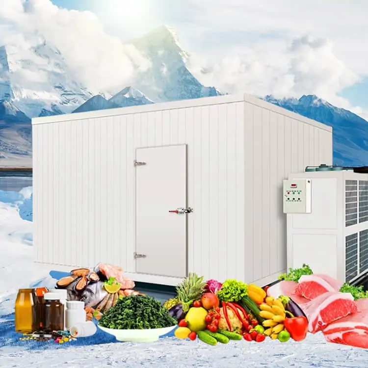 Kho lạnh bảo quản ICE COOL giúp bảo quản thực phẩm luôn tươi ngon