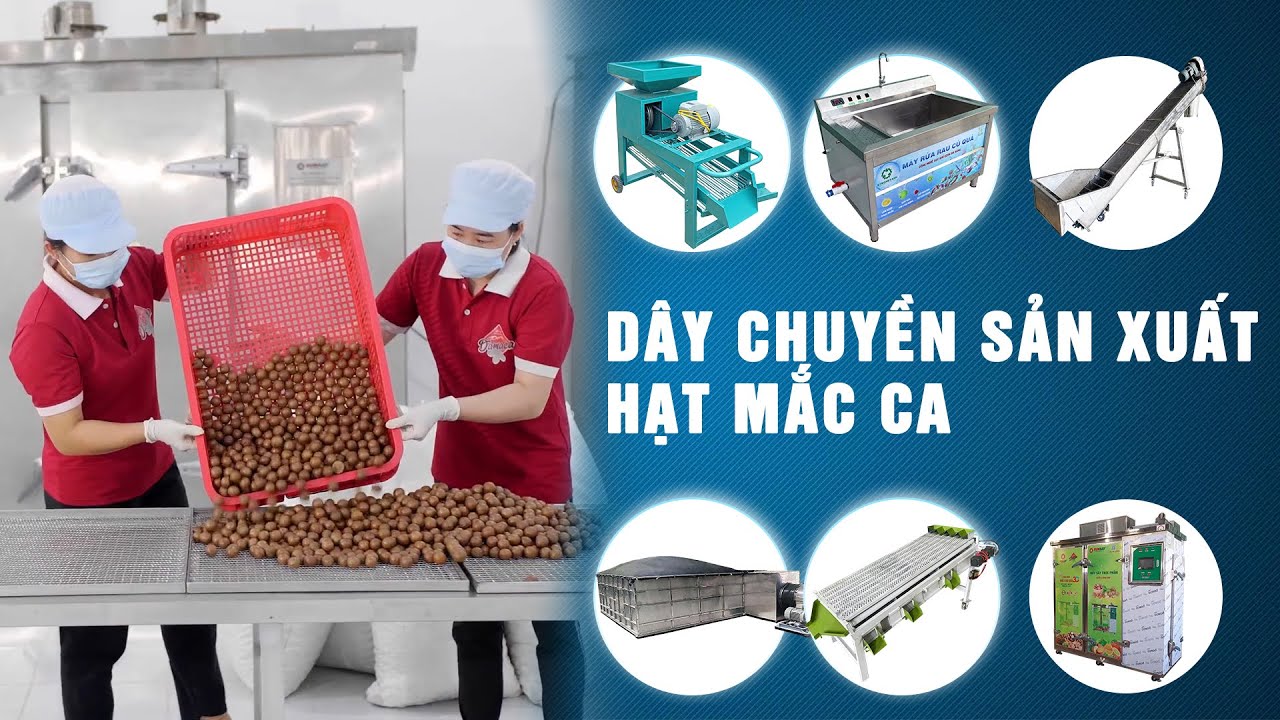 Dây chuyền sản xuất hạt mắc ca