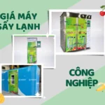 Giá máy sấy lạnh công nghiệp và những điều cần biết trước khi mua Giá máy sấy lạnh công nghiệp