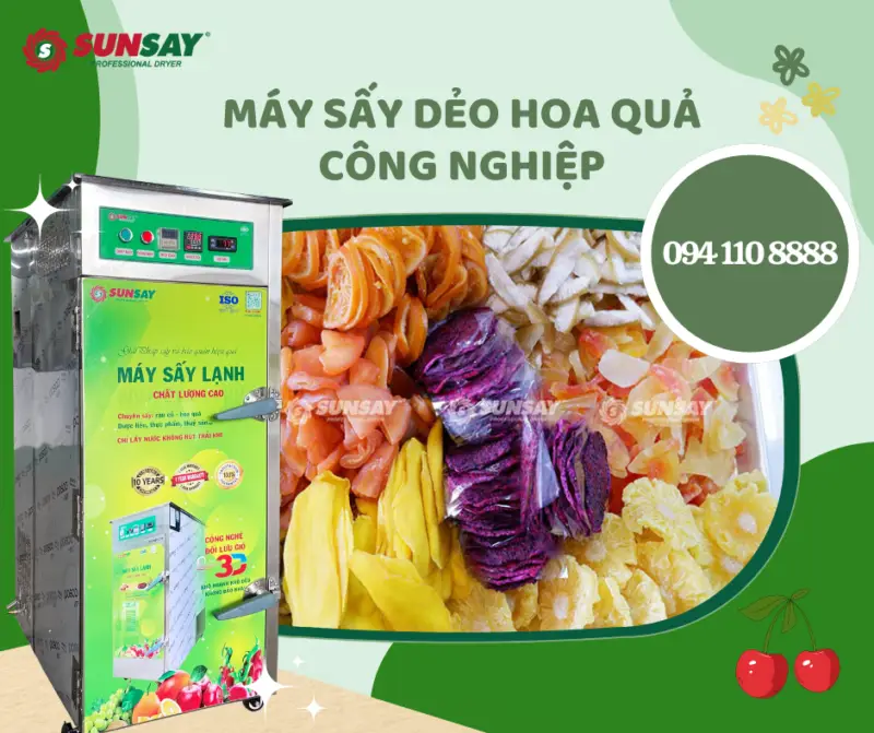 Máy sấy dẻo hoa quả công nghiệp