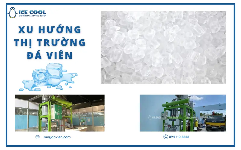 Xu hướng thị trường đá viên hiện tại và trong tương lai