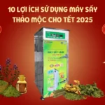 10 lợi ích sử dụng máy sấy thảo mộc Tết 2025 tốt cho sức khỏe