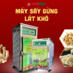 5 bí quyết giữ độ tươi với máy sấy gừng lát khô cho mùa lễ 5 bí quyết giữ độ tươi với máy sấy gừng lát khô cho mùa lễ
