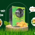 Mít sấy thăng hoa thơm ngon gia tăng giá trị nông sản 3 mẫu máy sấy mít sấy giòn đang được ưa chuộng mùa lễ