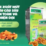 Quy trình sản xuất mứt trái cây sấy an toàn và hiện đại Quy trình sản xuất mứt trái cây sấy an toàn và hiện đại