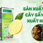 Quy trình sản xuất trái cây sấy dẻo xuất khẩu đạt chuẩn quốc tế Quy trình sản xuất trái cây sấy dẻo xuất khẩu đạt chuẩn quốc tế