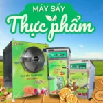 Thị trường sấy thực phẩm xuất khẩu: Cơ hội và thách thức Thị trường sấy thực phẩm xuất khẩu