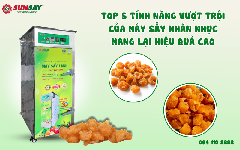 Top 5 tính năng vượt trội của máy sấy nhãn nhục mang lại hiệu quả cao