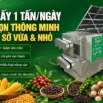 Cách lựa chọn máy sấy công suất 1 tấn/ngày phù hợp với nhu cầu sản xuất Máy sấy công suất 1 tấn/ngày