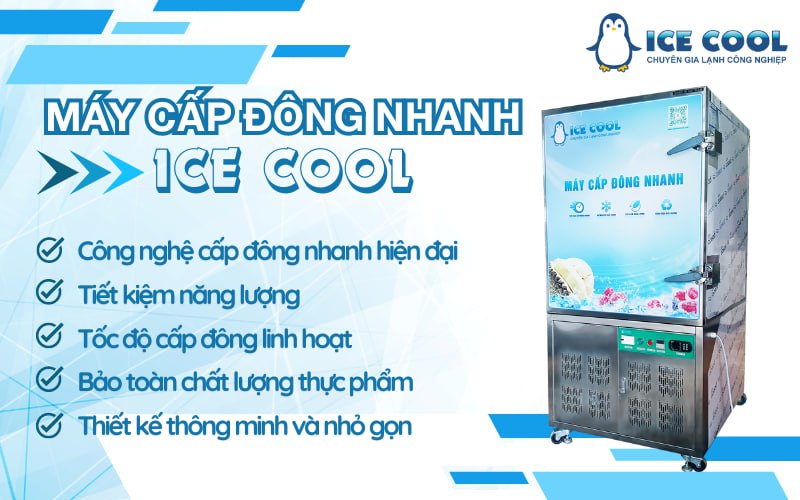 Máy cấp đông nhanh ICE COOL chất lượng cao