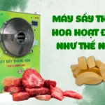 Máy sấy thăng hoa hoạt động như thế nào? Máy sấy thăng hoa hoạt động như thế nào?