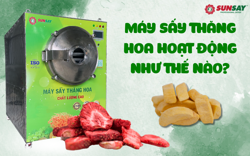 Máy sấy thăng hoa hoạt động như thế nào?