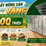 Giá máy sấy nông sản cho hợp tác xã: Đầu tư bao nhiêu là hợp lý? Giá máy sấy nông sản cho hợp tác xã