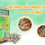 Giá máy sấy nhiệt đối lưu cho cá khô có đắt không? Gợi ý mua phù hợp Giá máy sấy nhiệt đối lưu cho cá khô