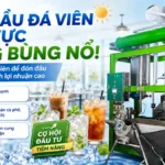 Nhu cầu đá viên tại khu vực tăng mạnh – Đầu tư máy đá viên cho cơ hội kinh doanh Nhu cầu đá viên tại khu vực