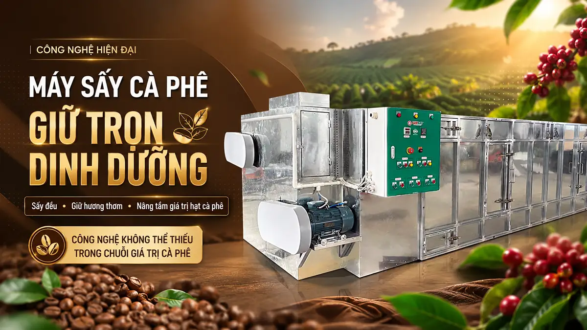 Máy sấy cà phê giữ nguyên dinh dưỡng – Công nghệ không thể thiếu trong chuỗi giá trị cà phê