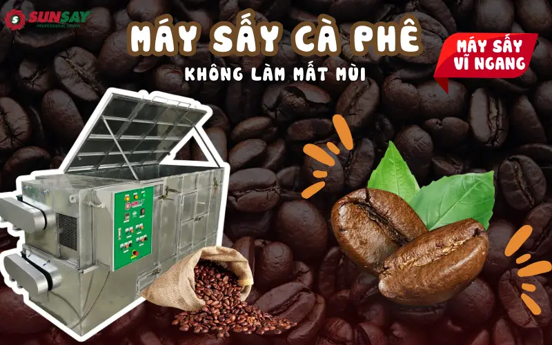 Máy sấy cà phê không làm mất mùi giúp nâng cao giá bán và chất lượng hạt