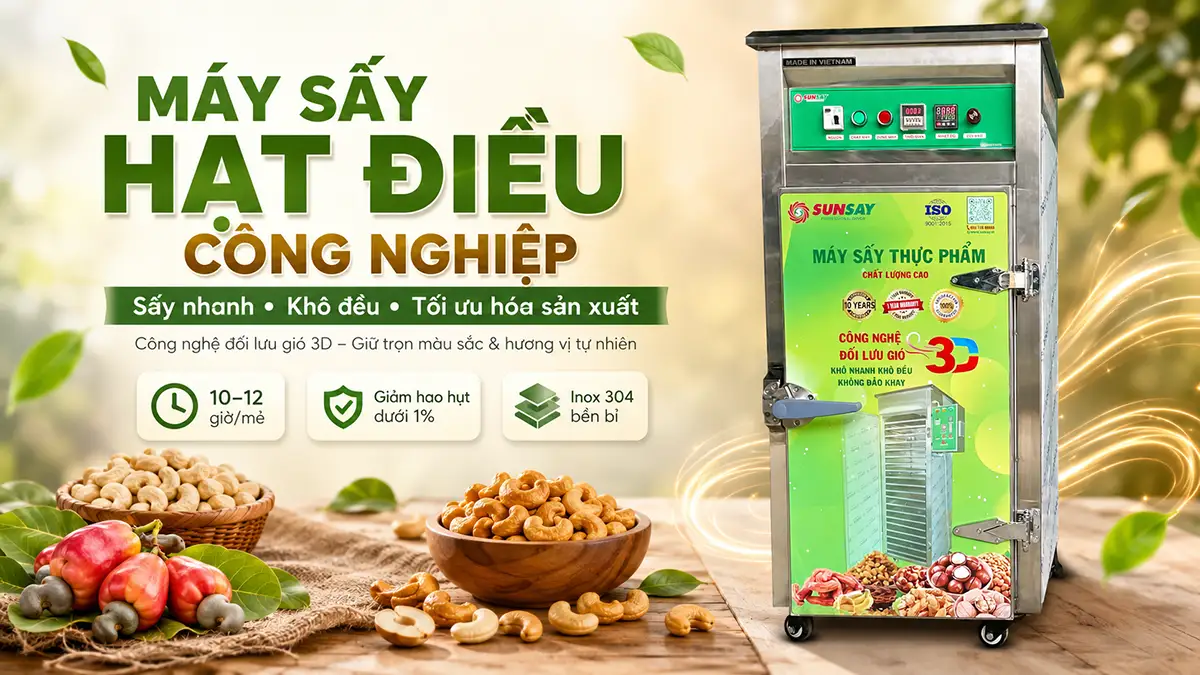 Máy sấy nông sản hạt điều công nghiệp: Giải pháp sấy nhanh tối ưu hóa sản xuất