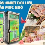 Máy sấy nhiệt đối lưu sấy mực khô hiệu quả cao, tiết kiệm chi phí vận hành Máy sấy nhiệt đối lưu sấy mực khô hiệu quả cao, tiết kiệm chi phí vận hành