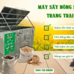 Máy sấy nông sản cho trang trại lớn – Giải pháp công nghệ giúp nông dân làm giàu Máy sấy nông sản cho trang trại lớn – Giải pháp công nghệ giúp nông dân làm giàu
