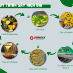 Các bước trong quy trình sấy hiện đại giúp nâng cao chất lượng sản phẩm nông sản