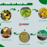 Các bước trong quy trình sấy hiện đại giúp nâng cao chất lượng sản phẩm nông sản Các bước trong quy trình sấy hiện đại giúp nâng cao chất lượng sản phẩm nông sản