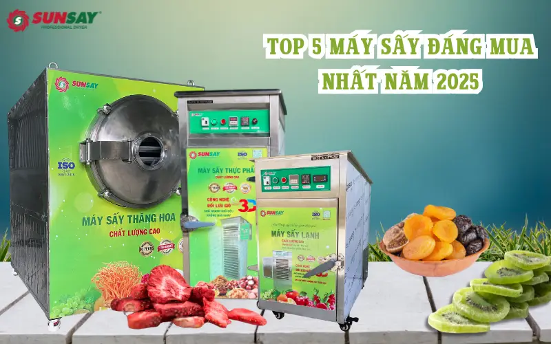 TOP 5 máy sấy đáng mua nhất năm 2025