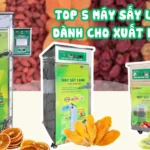 TOP 5 máy sấy lạnh dành cho xuất khẩu đạt chuẩn quốc tế, phù hợp với mọi quy mô sản xuất TOP 5 máy sấy lạnh dành cho xuất khẩu đạt chuẩn quốc tế, phù hợp với mọi quy mô sản xuất