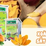 Xoài Úc sấy dẻo: Giải pháp tiêu thụ nông sản bền vững mùa rớt giá Xoài Úc sấy dẻo - Giải pháp tiêu thụ nông sản bền vững mùa rớt giá