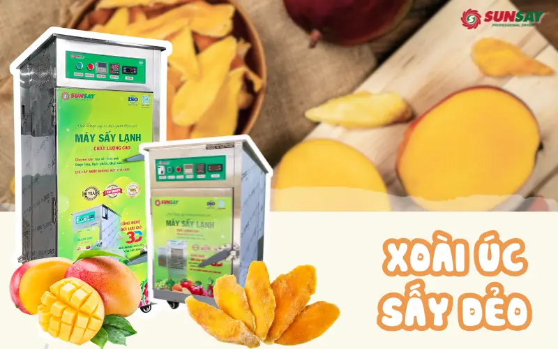 Xoài Úc sấy dẻo - Giải pháp tiêu thụ nông sản bền vững mùa rớt giá