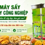 Giá máy sấy trái cây công nghiệp với công nghệ sấy lạnh hiện nay bao nhiêu? Giá máy sấy trái cây công nghiệp