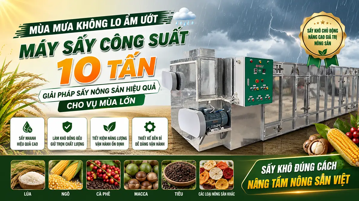 Đầu tư máy sấy công suất 10 tấn cho vụ mùa lớn: Có thực sự cần thiết?