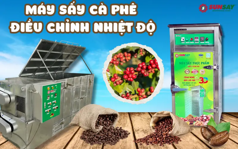 Máy sấy cà phê điều chỉnh nhiệt độ