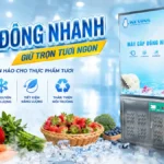 Máy cấp đông nhanh thực phẩm tươi – Giải pháp bảo quản tối ưu cho ngành chế biến hiện đại Máy cấp đông nhanh thực phẩm tươi