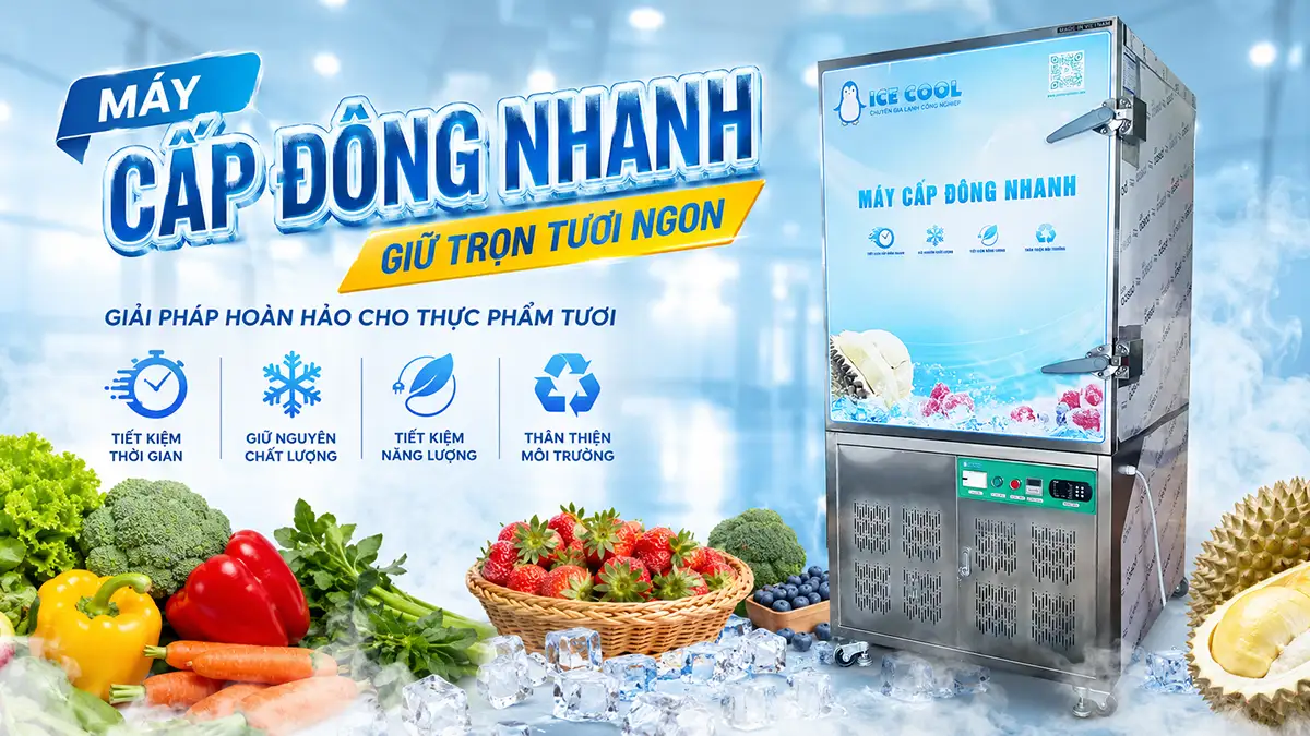 Máy cấp đông nhanh thực phẩm tươi – Giải pháp bảo quản tối ưu cho ngành chế biến hiện đại