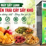 Máy sấy lạnh chế biến trái cây sấy khô – Bước đầu vững chắc cho startup nông nghiệp Máy sấy lạnh chế biến trái cây sấy khô