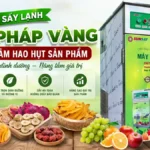 Máy sấy lạnh giúp giảm hao hụt sản phẩm – Lựa chọn thông minh cho nông sản chất lượng cao Máy sấy lạnh giúp giảm hao hụt sản phẩm