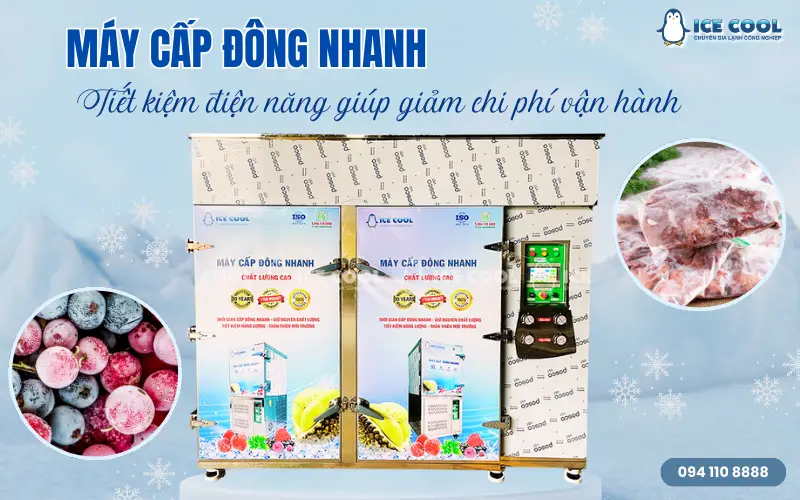 Máy cấp đông nhanh tiết kiệm điện năng giúp giảm chi phí vận hành đáng kể