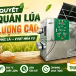 Cách máy sấy vĩ ngang SUNSAY giúp bảo quản chất lượng lúa trong mùa mưa bão Bảo quản chất lượng lúa