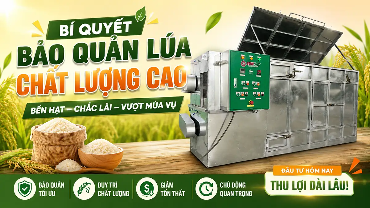 Cách máy sấy vĩ ngang SUNSAY giúp bảo quản chất lượng lúa trong mùa mưa bão